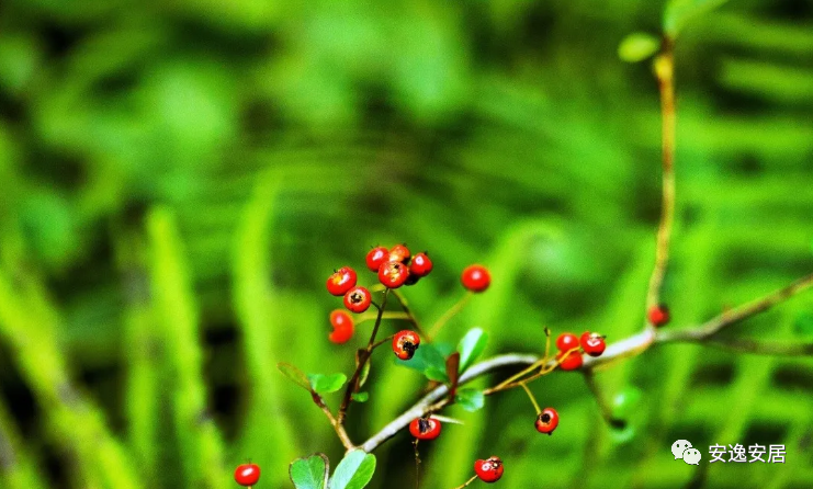 640(32).jpg 640(32).jpg