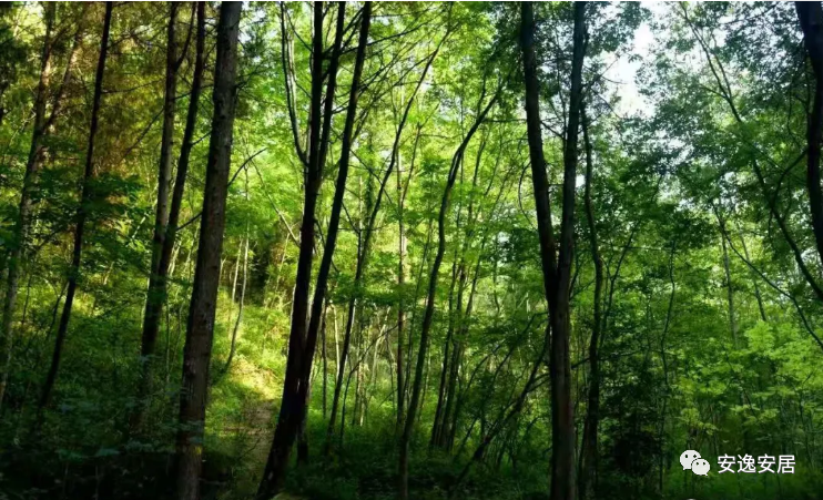 640(33).jpg 640(33).jpg