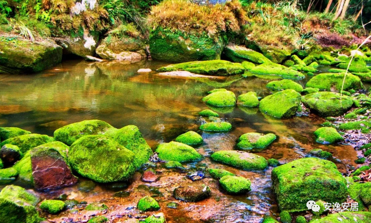 640(34).jpg 640(34).jpg