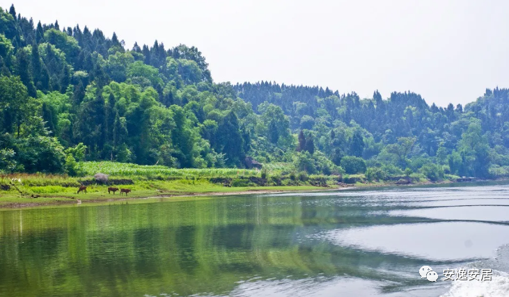 640(36).jpg 640(36).jpg