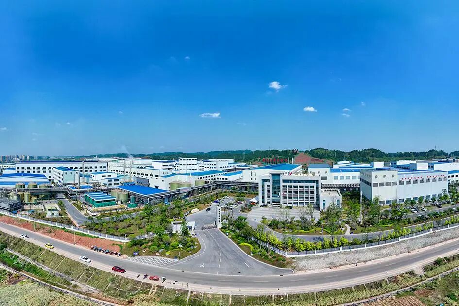 五年蝶变铸辉煌 绘就“安居安逸 乐业安居”新答卷