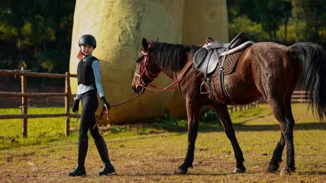 1月30日！来安居解锁马背上的新体验