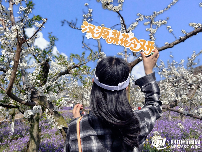 春游雅安好去处！汉源赏花文旅消费季启幕 湖光梨雪美到窒息