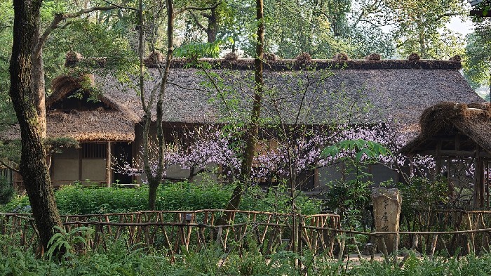 四川连休六天——​研学游、亲子游热度攀升