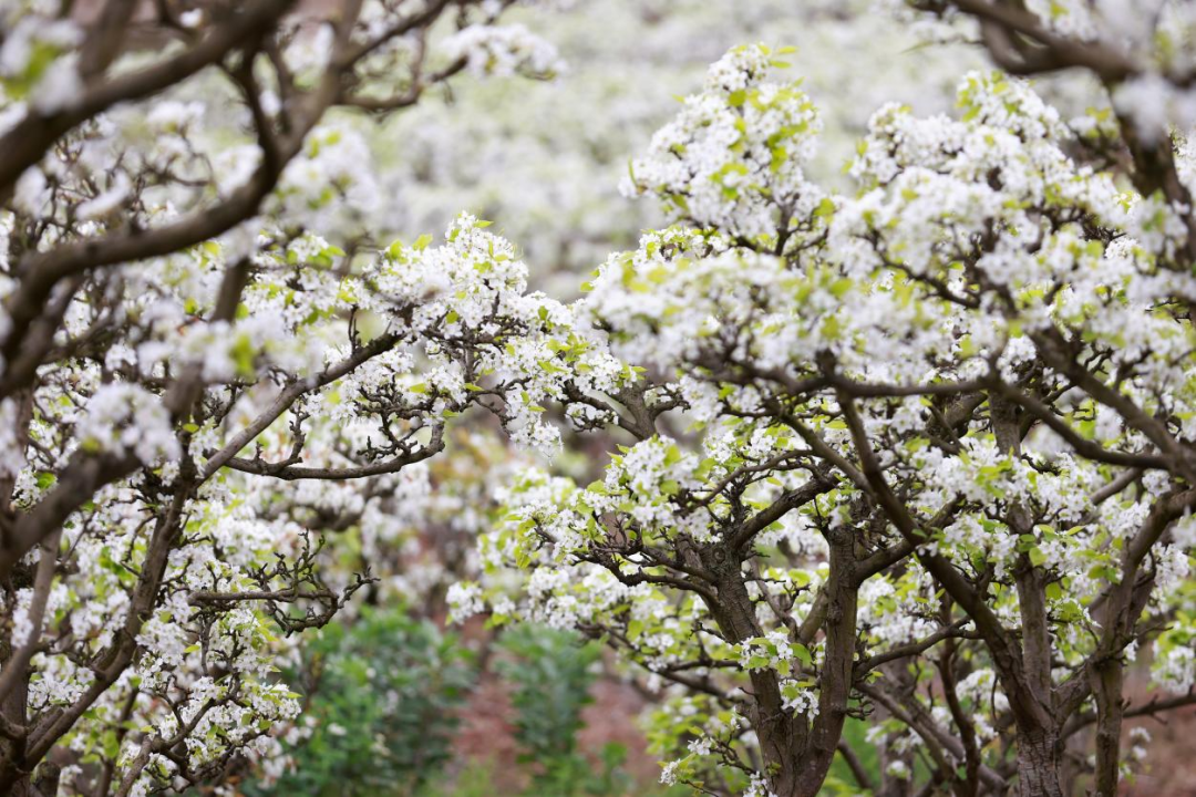 640 (12).png 640 (12).png