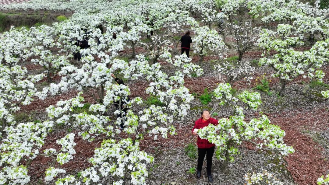 640 (9).jpg 640 (9).jpg