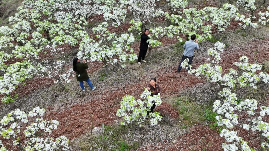 640 (8).jpg 640 (8).jpg