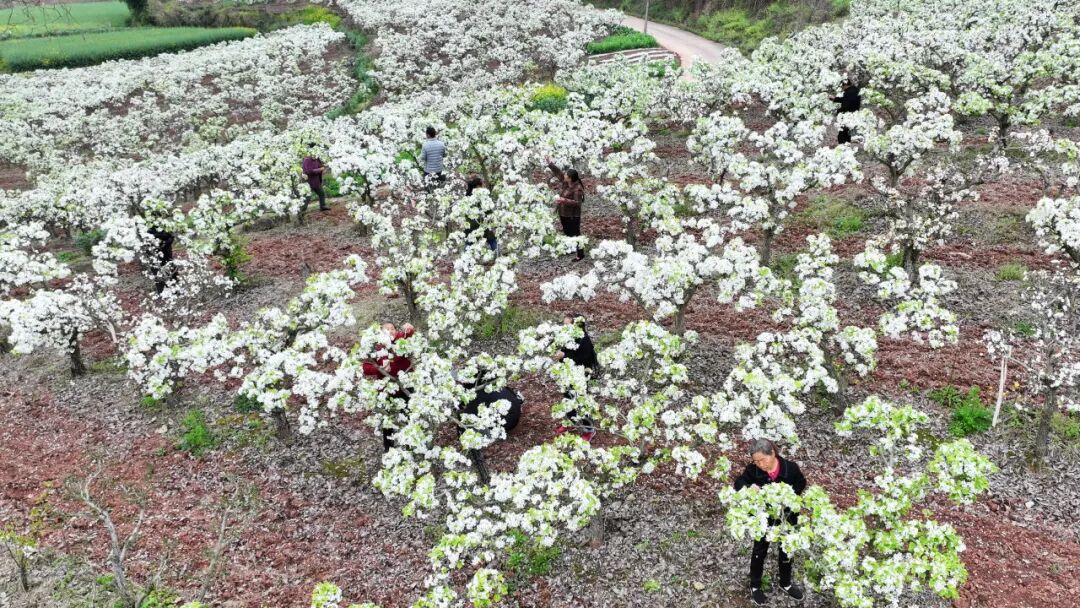 640 (7).jpg 640 (7).jpg