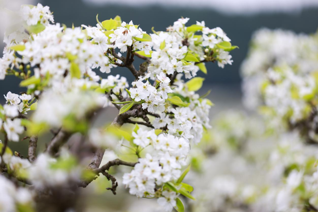 640 (11).png 640 (11).png