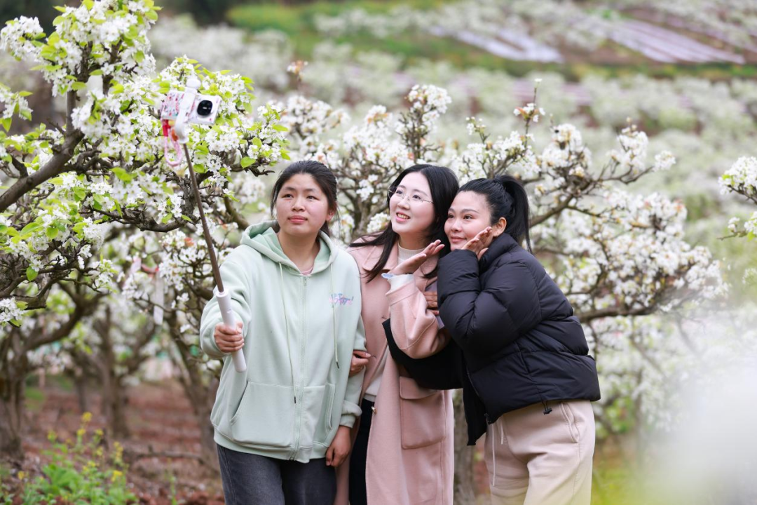 640 (10).png 640 (10).png