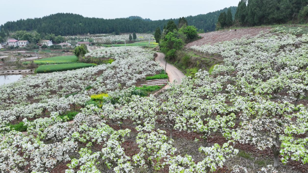 640 (9).png 640 (9).png