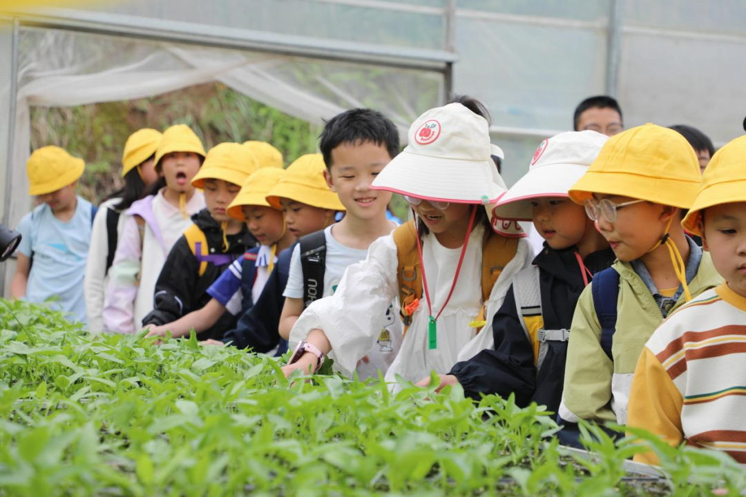 安居首个春假开启！60余名孩子走进菜园“播种”春天